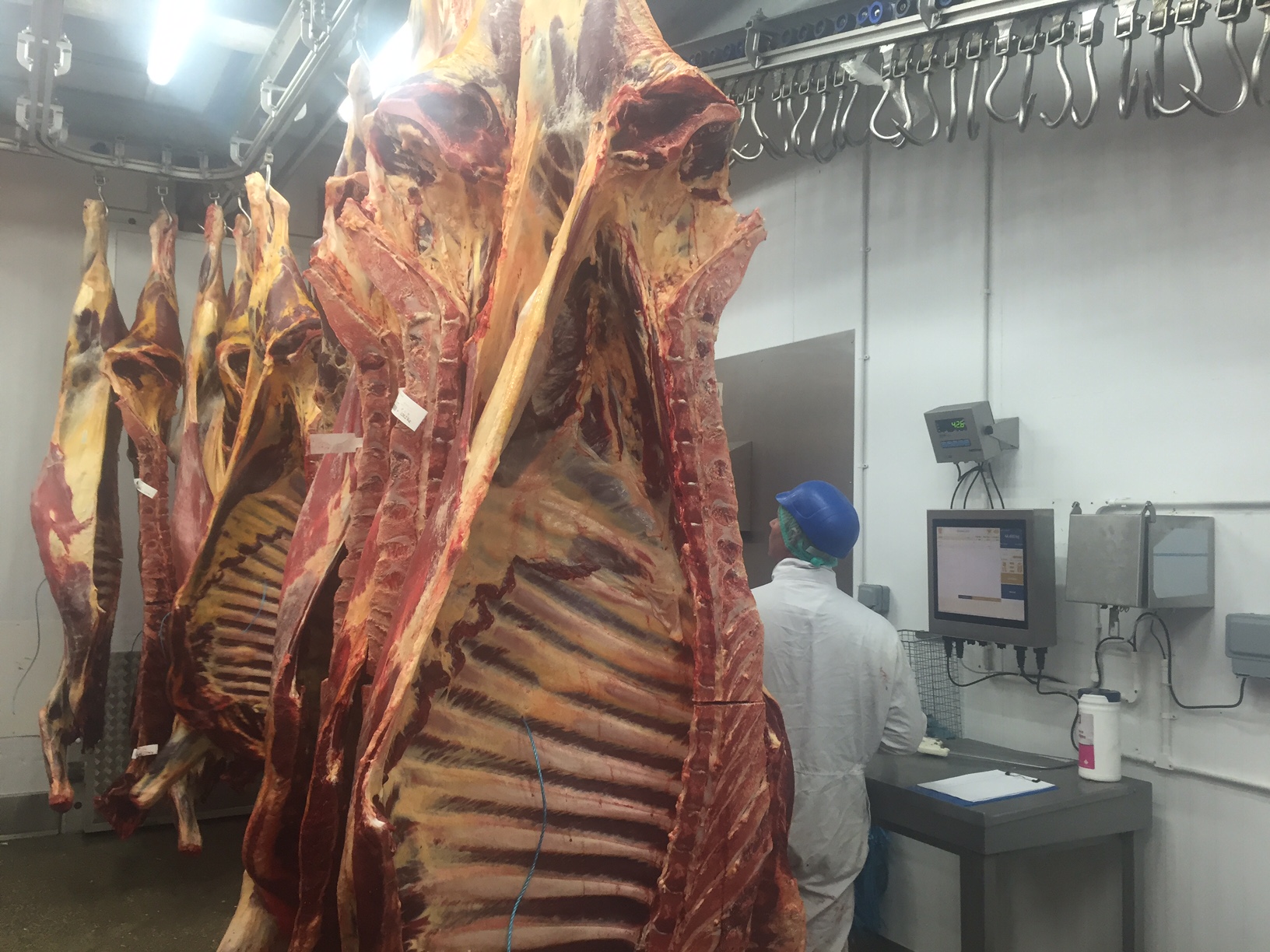 meat processing software