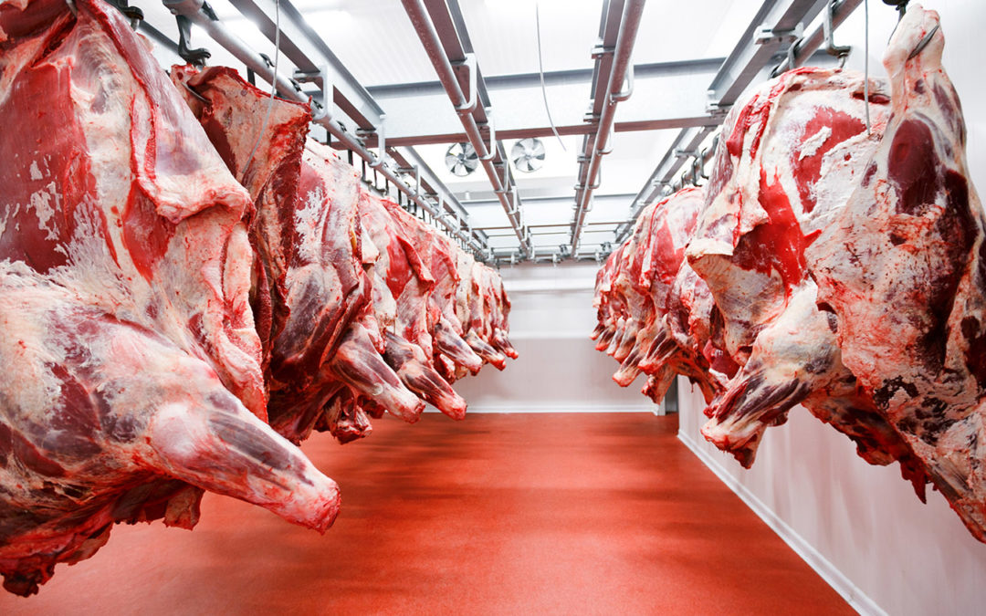 Barnsley based N Bramall & Son Ltd – kick off the New Year by going live with the NOUVEM Meat Processing Software